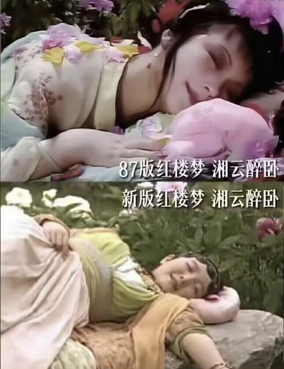 醉红楼手机版醉红楼醉在线观看